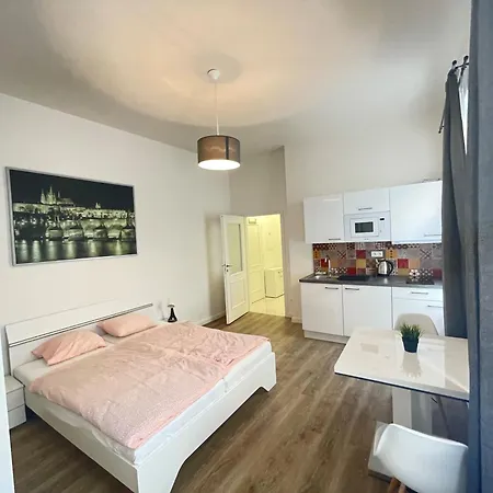 Apartament Petrska In 1